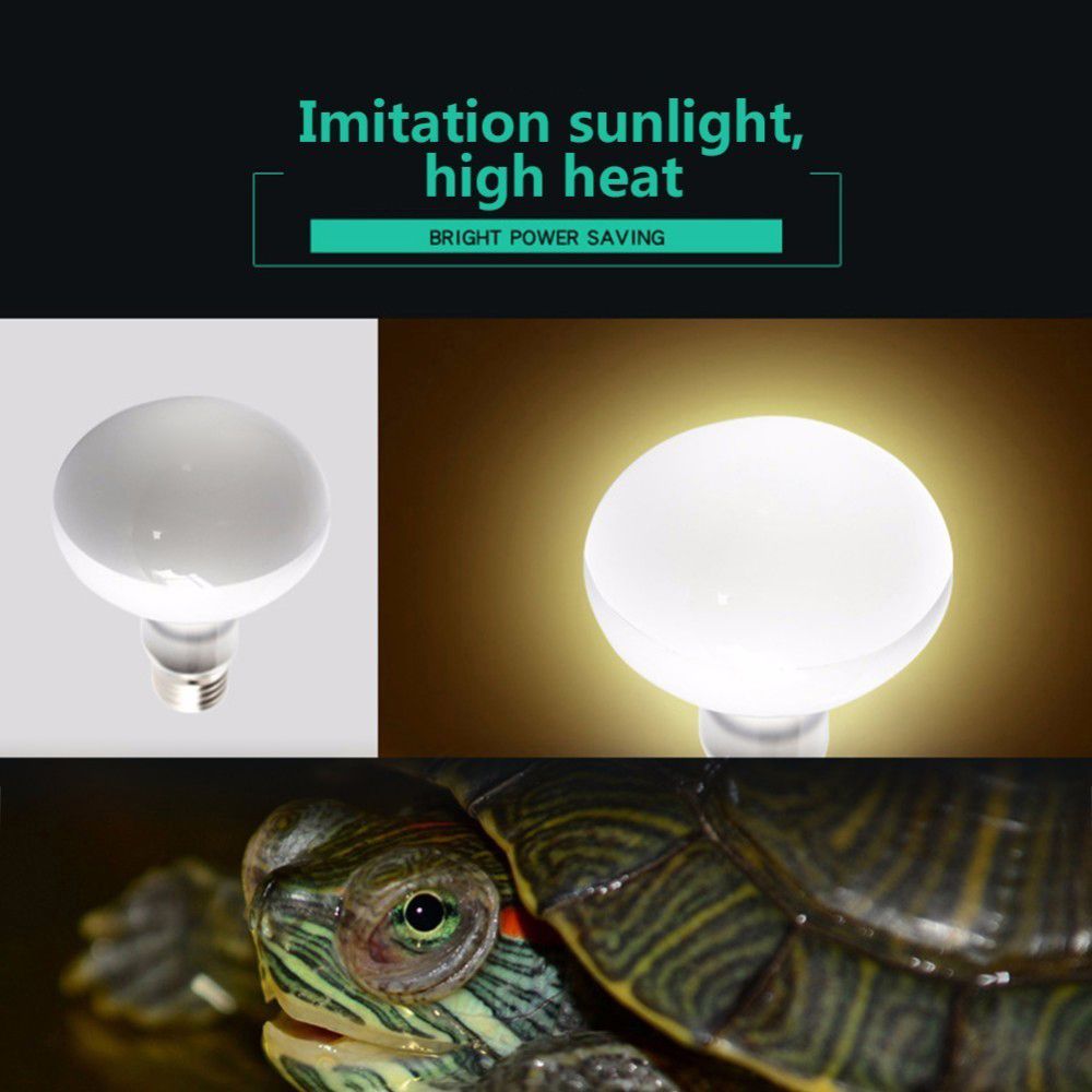 Basking Bulb Halogen - Controlador de Temperatura para Tartarugas, Lâmpada
