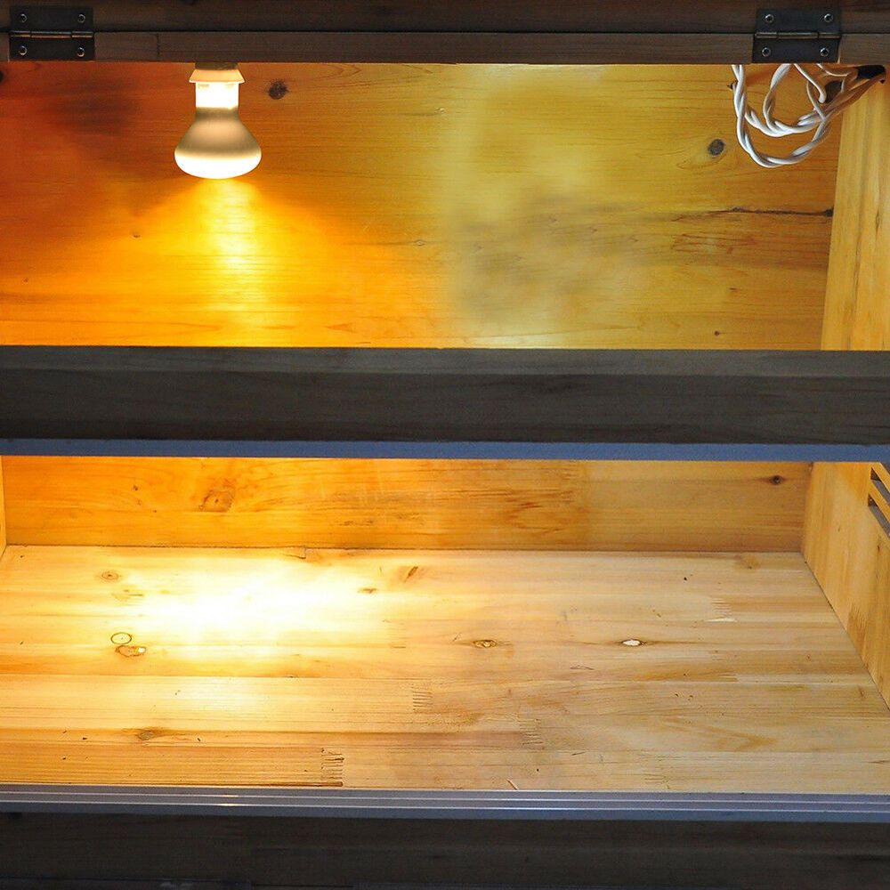 Basking Bulb Halogen - Controlador de Temperatura para Répteis: Lâmpada