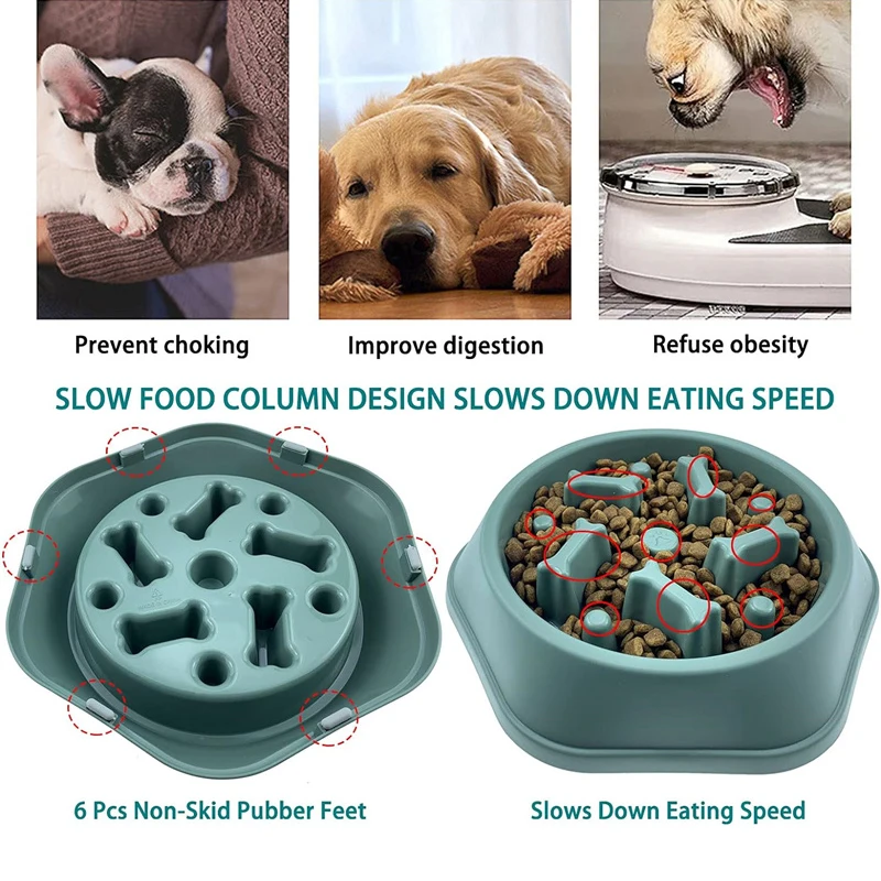Nova Tigela Comedouro Lento pa - Royal Canin Food Medium avaliação e preço
