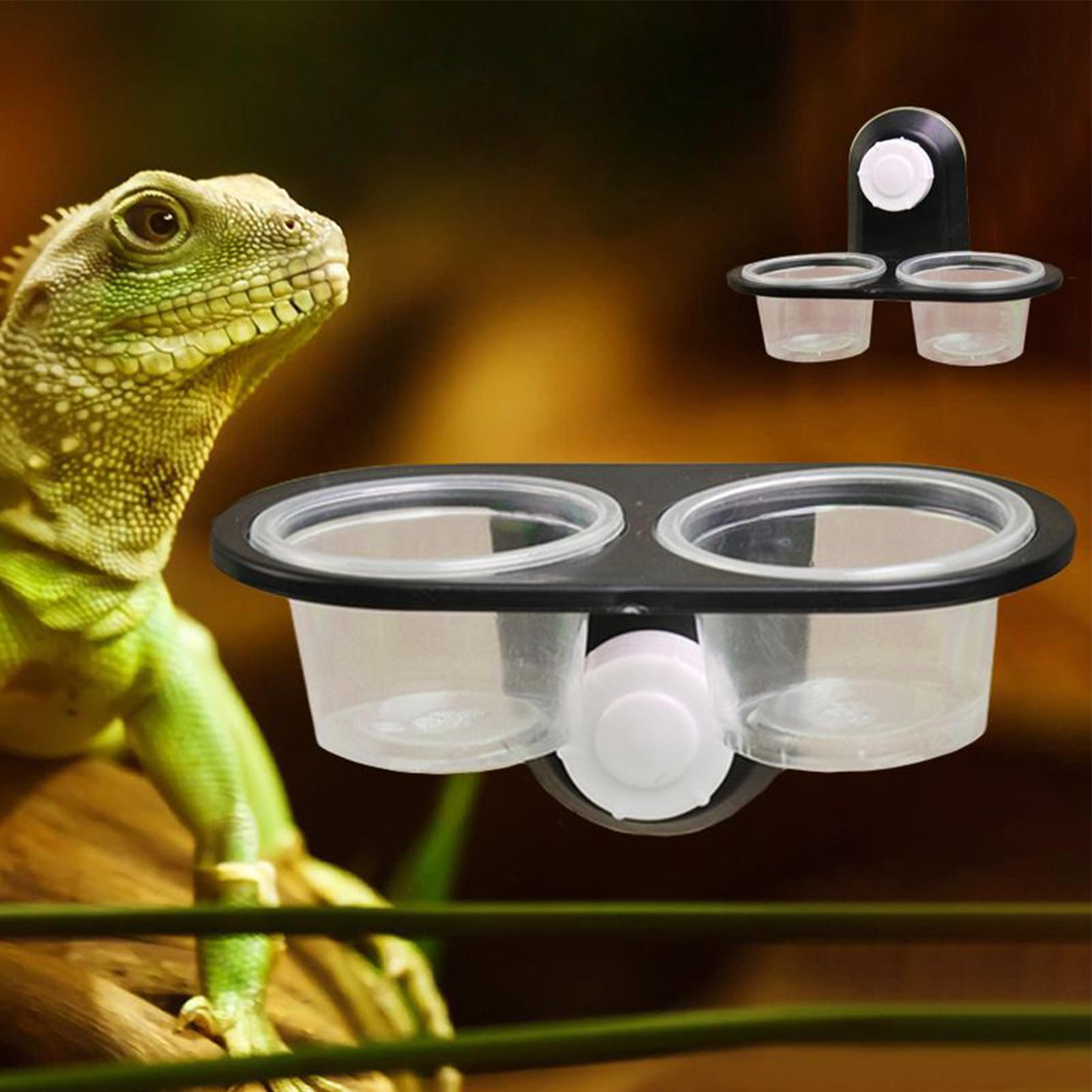Dispensador de Água e Comida p - Water Dish Reptile avaliação e preço