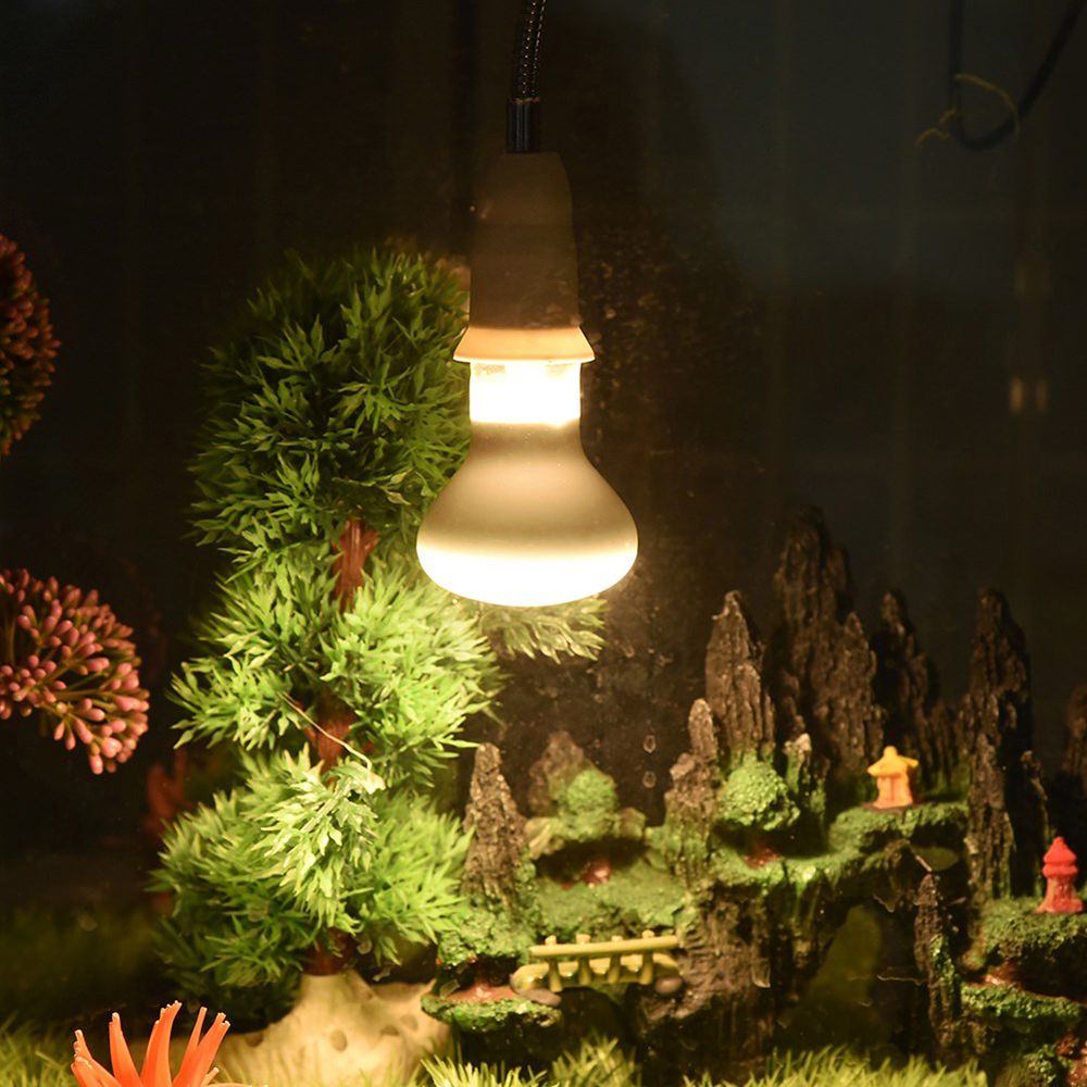 Lâmpada de Aquecimento para An - Basking Bulb Halogen avaliação e preço