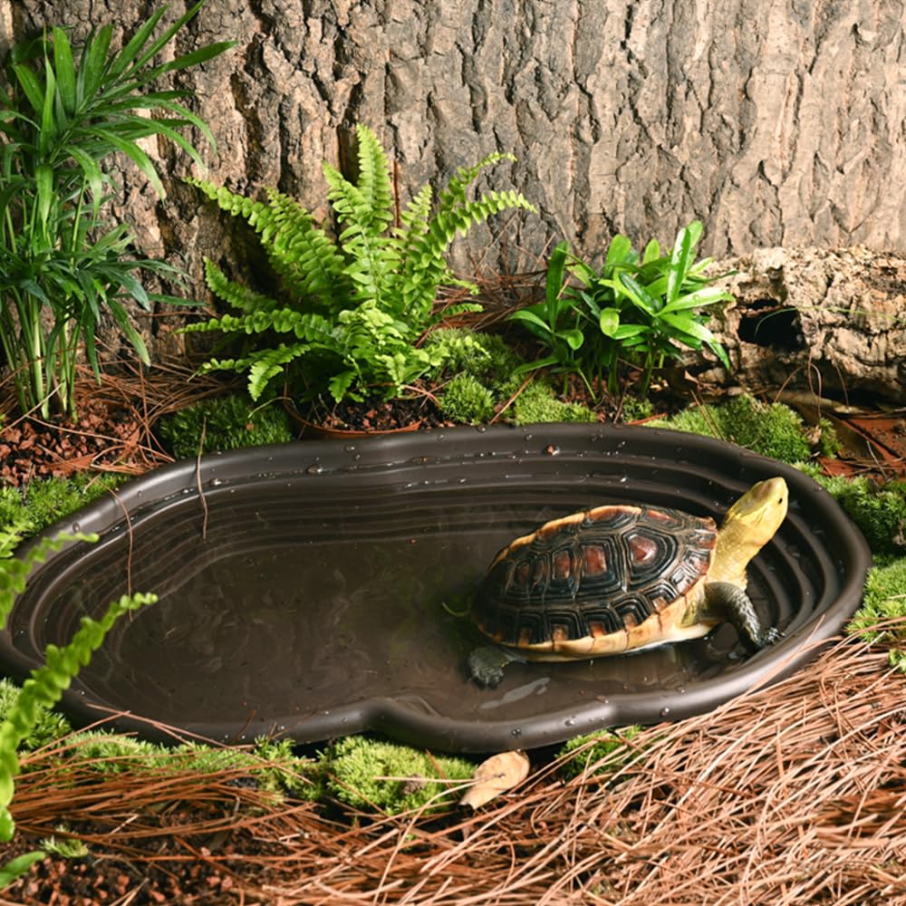 Prato de banho para répteis, a - Water Dish Reptile avaliação e preço