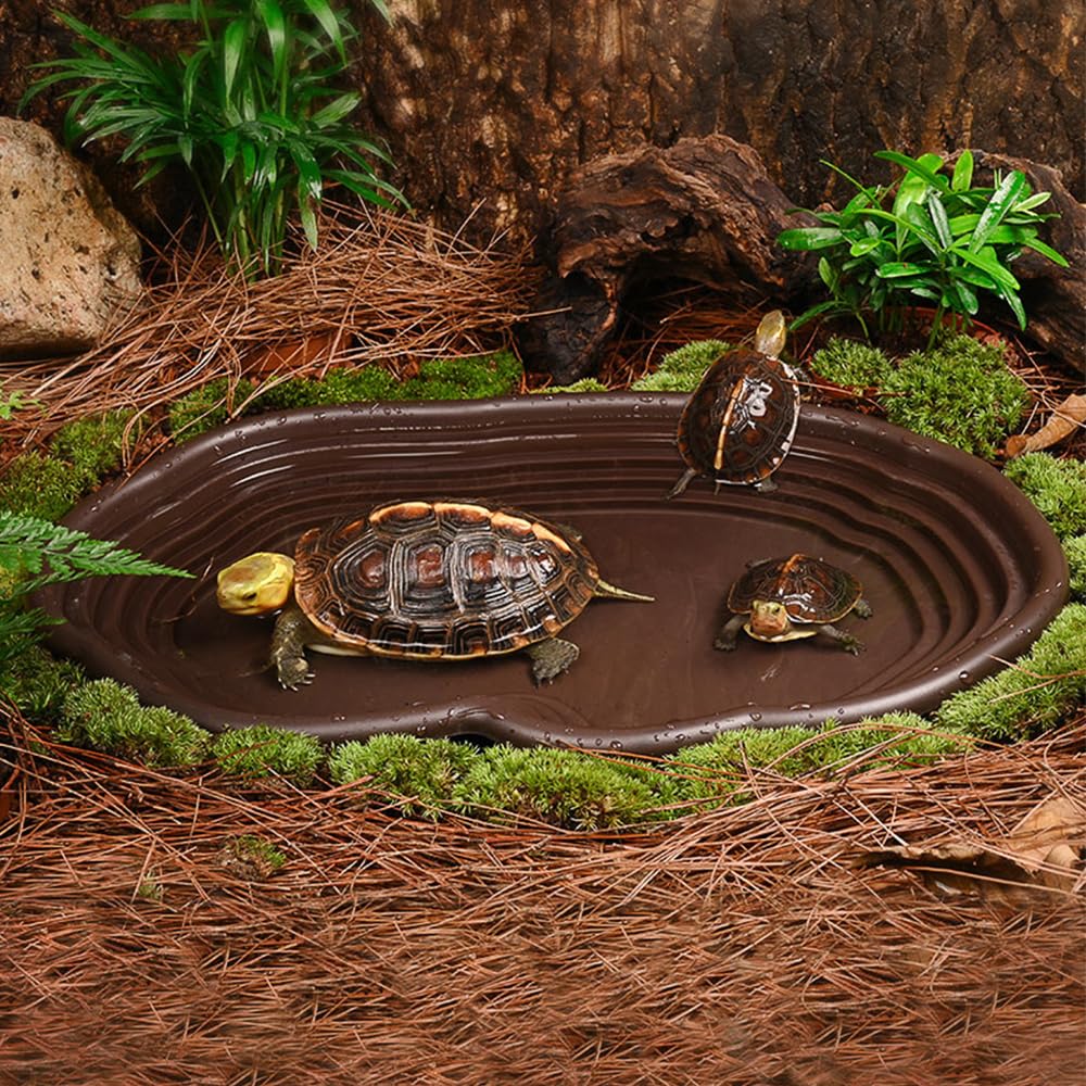 Prato de banho para répteis, a - Water Dish Reptile avaliação e preço
