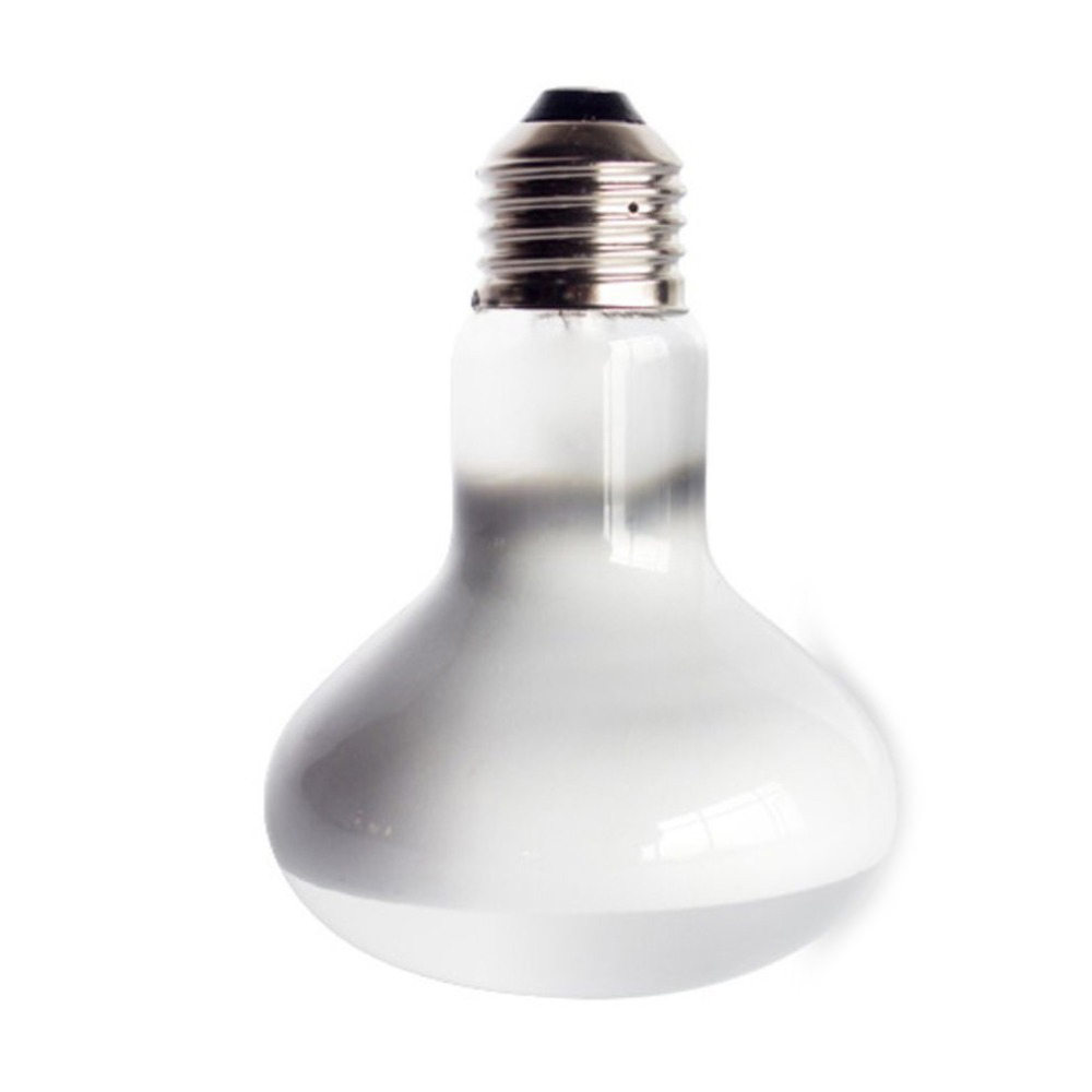 Lâmpada de Aquecimento para Ta - Basking Bulb Halogen avaliação e preço