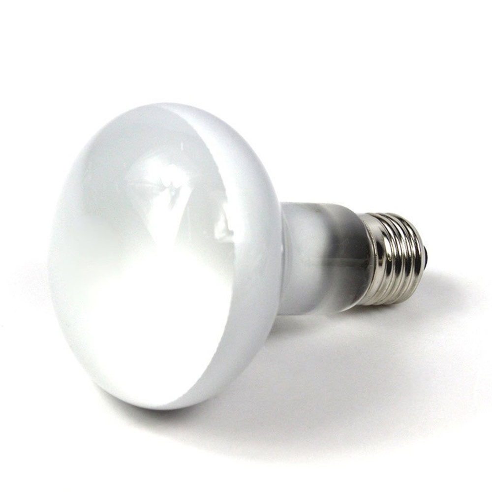 Lâmpada de Aquecimento para Ta - Basking Bulb Halogen avaliação e preço