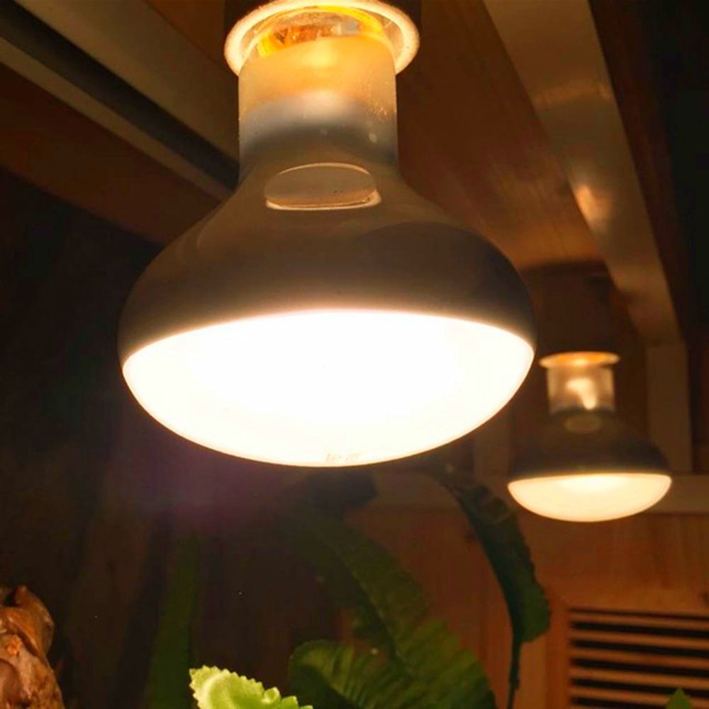 Controlador de temperatura de  - Basking Bulb Halogen avaliação e preço