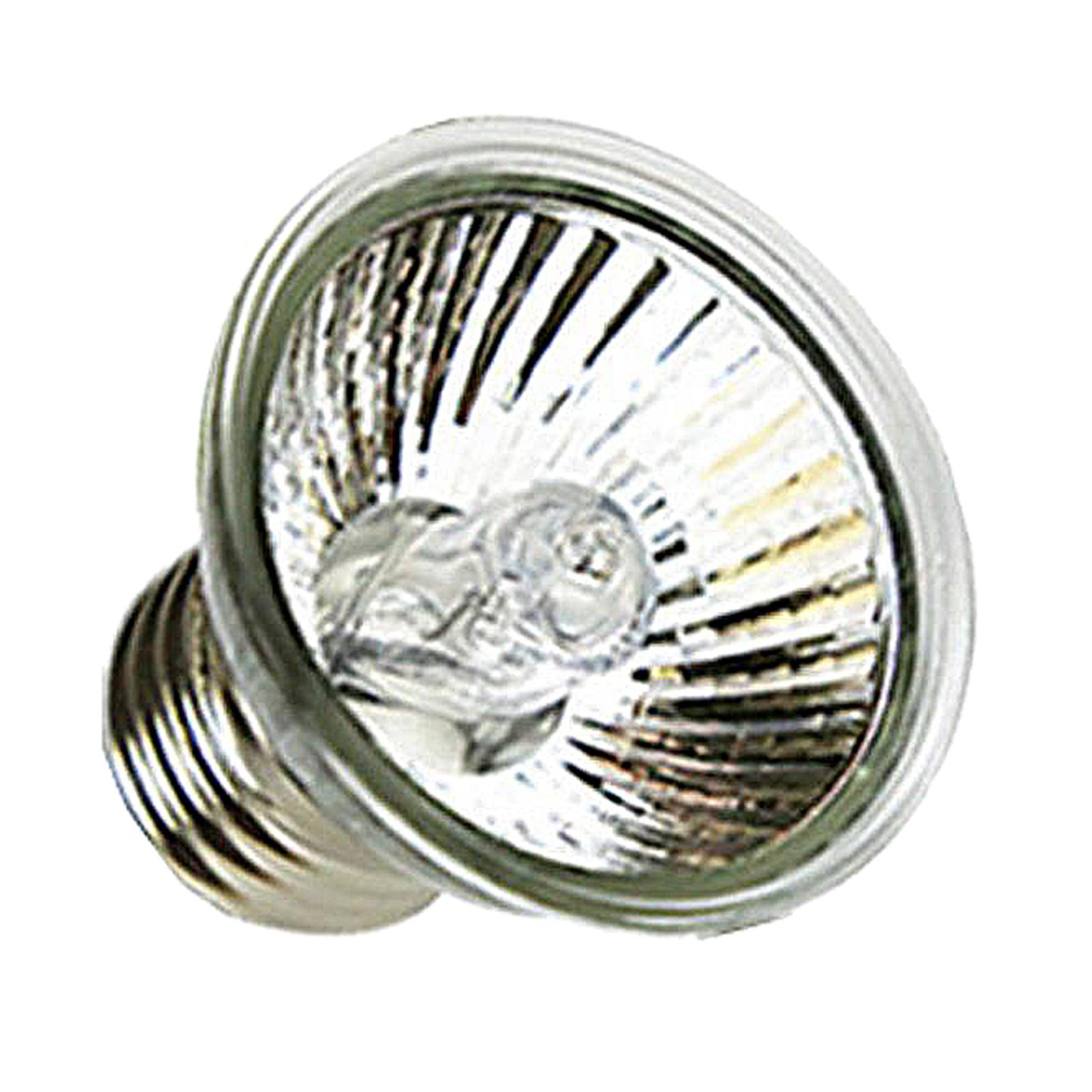 Lâmpada de Aquecimento Halógen - Basking Bulb Halogen avaliação e preço